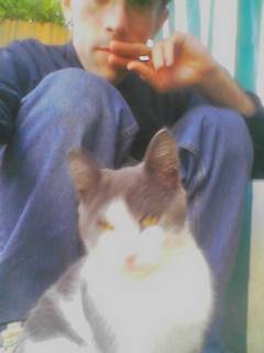 Chatlut