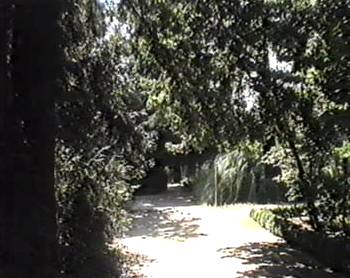 Madrid - Jardin botanico